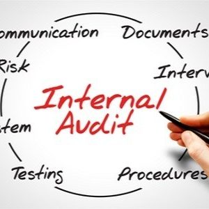 Tugas dan Tanggung Jawab Auditor Internal