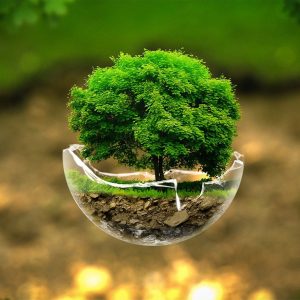 ISO 14001:2015 – EMS